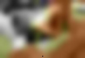 国产视频欧美视频