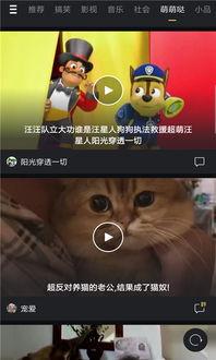 国产微拍视频